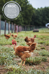 Joyce Farms Heritage Poulet Rouge Chicken