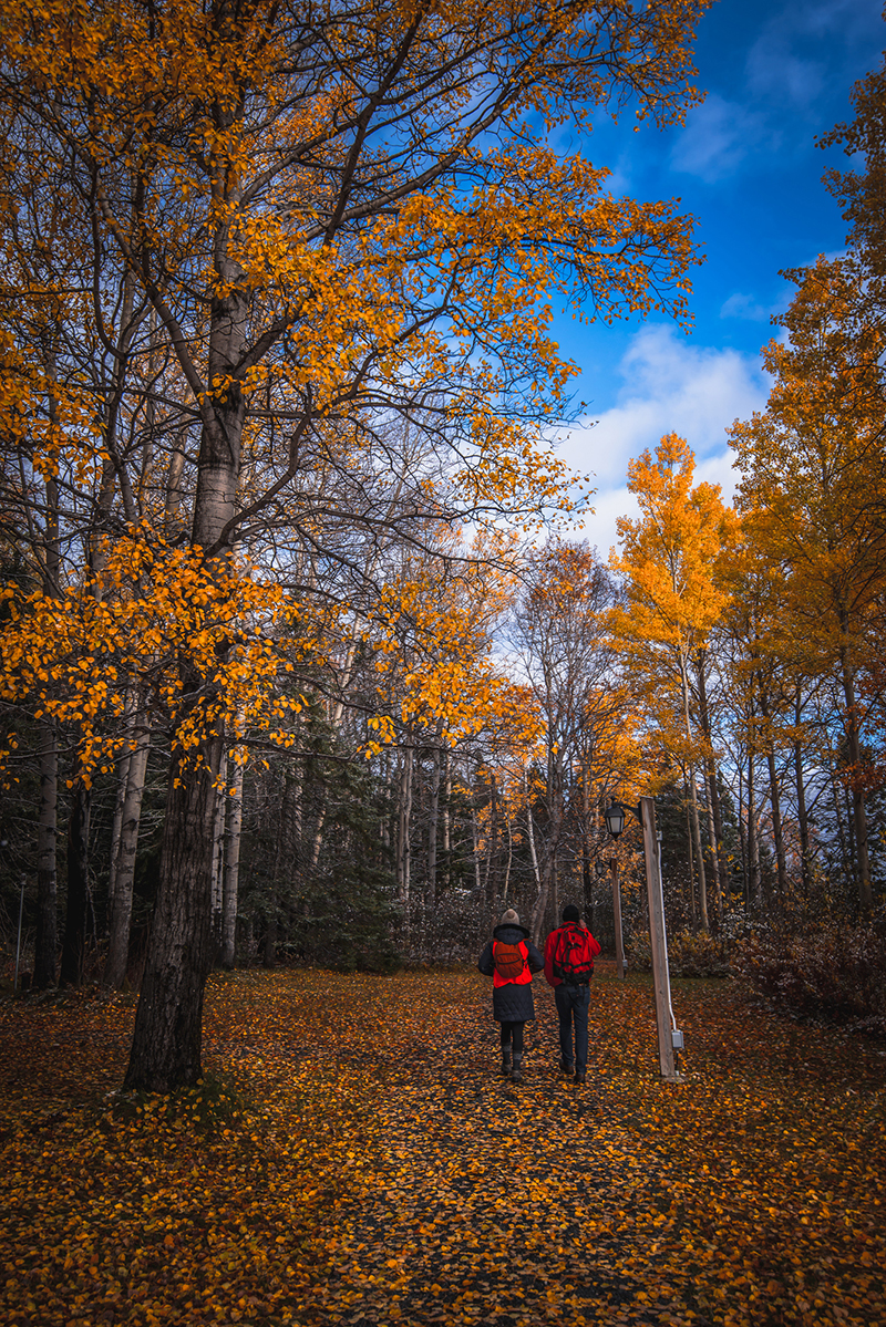 Autumn in Newfoundland and Labrador Brings Foliage, Festivals and(04)