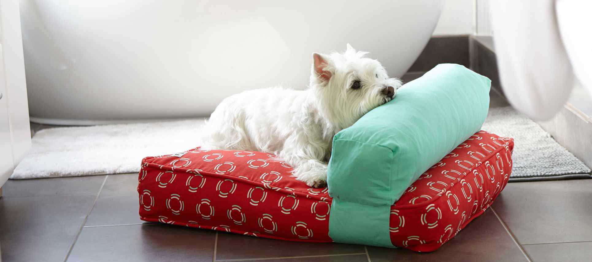 Molly Mutt Launches Sustainable Pet And Home Decor Products In