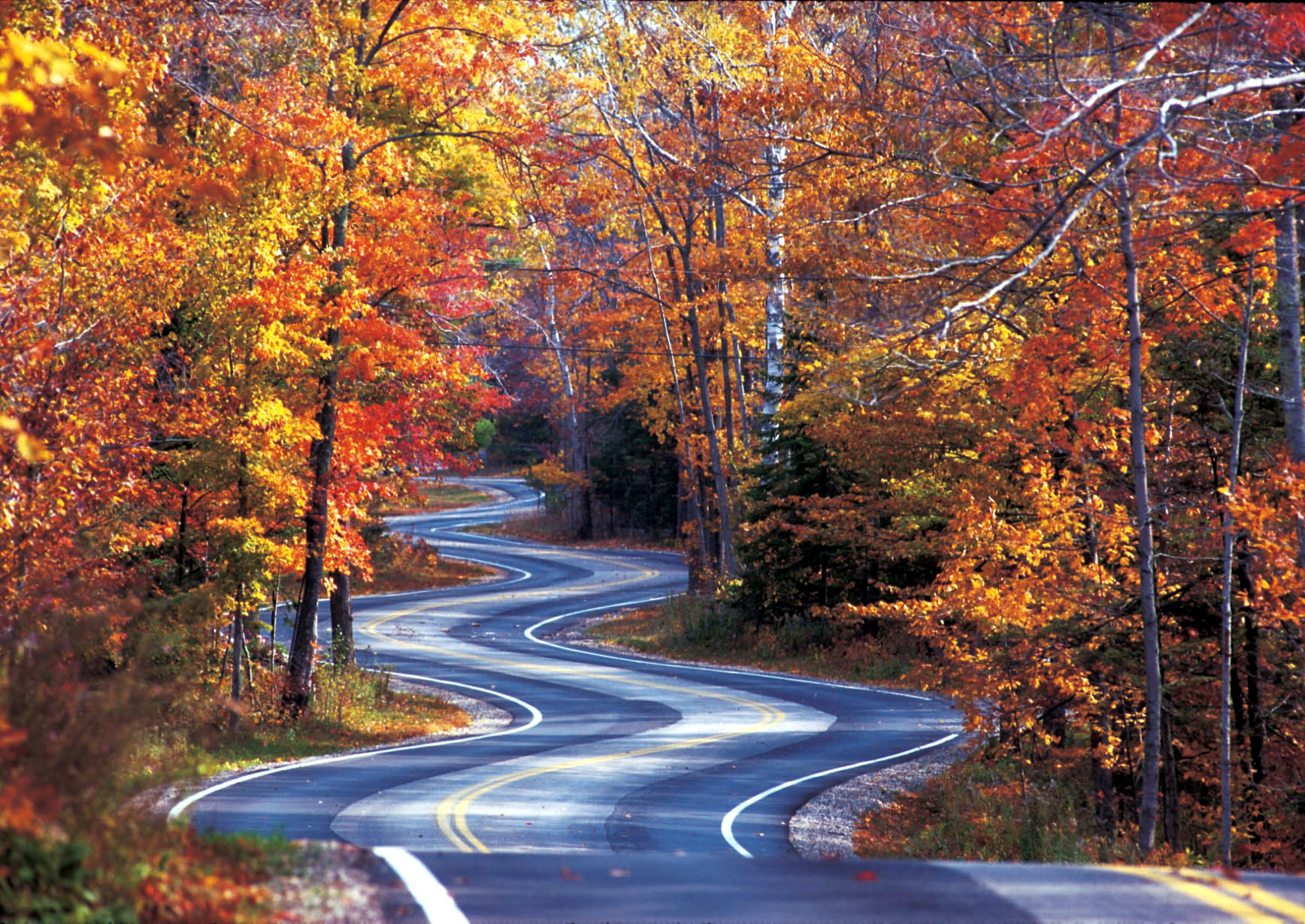 Unbe Leaf Able Fun In Door County Wi October 2018