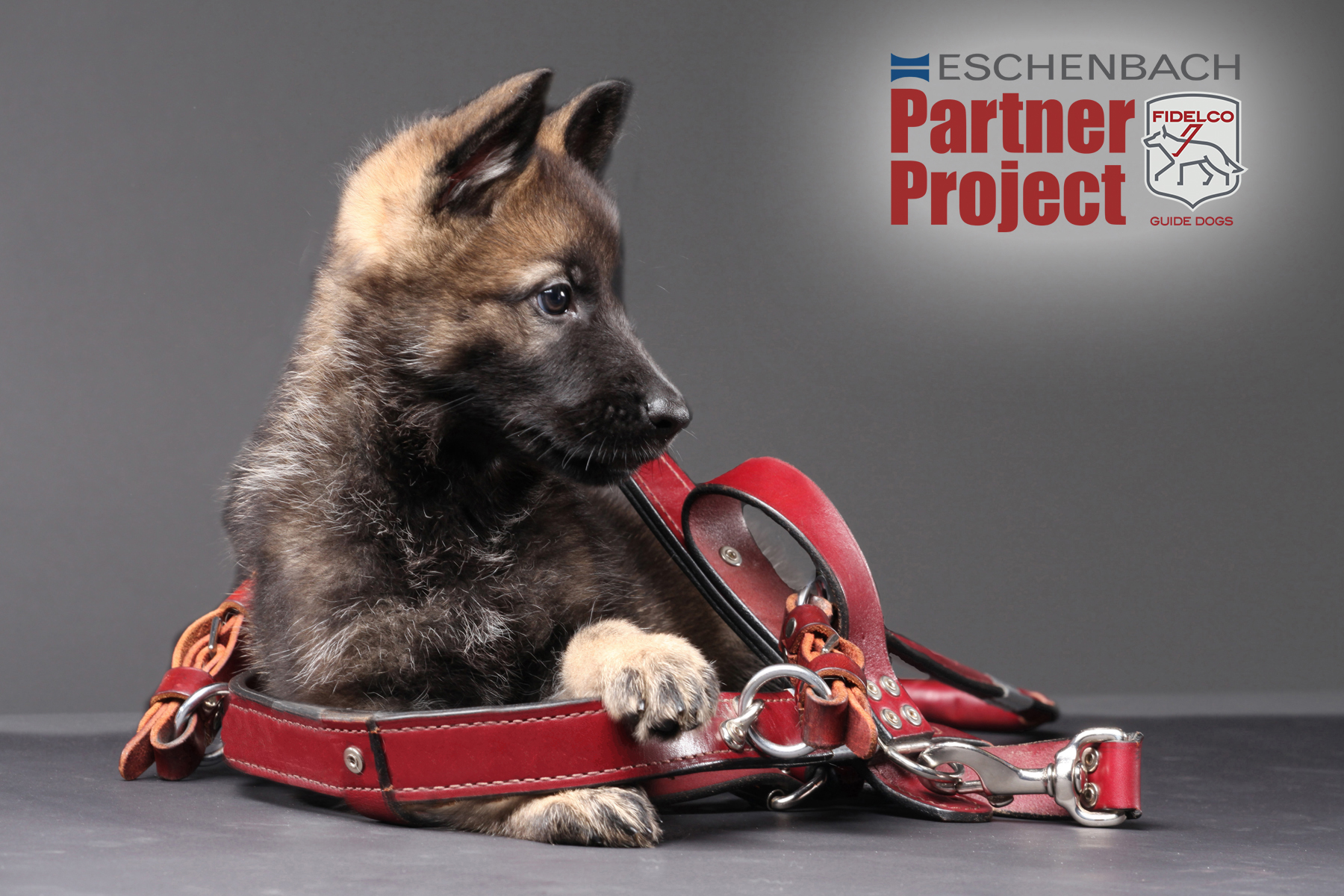 Fidelco Guide Dog Foundation Announces Eschenbach Optik Corporate Support