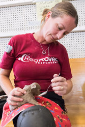 RedRover Volunteer