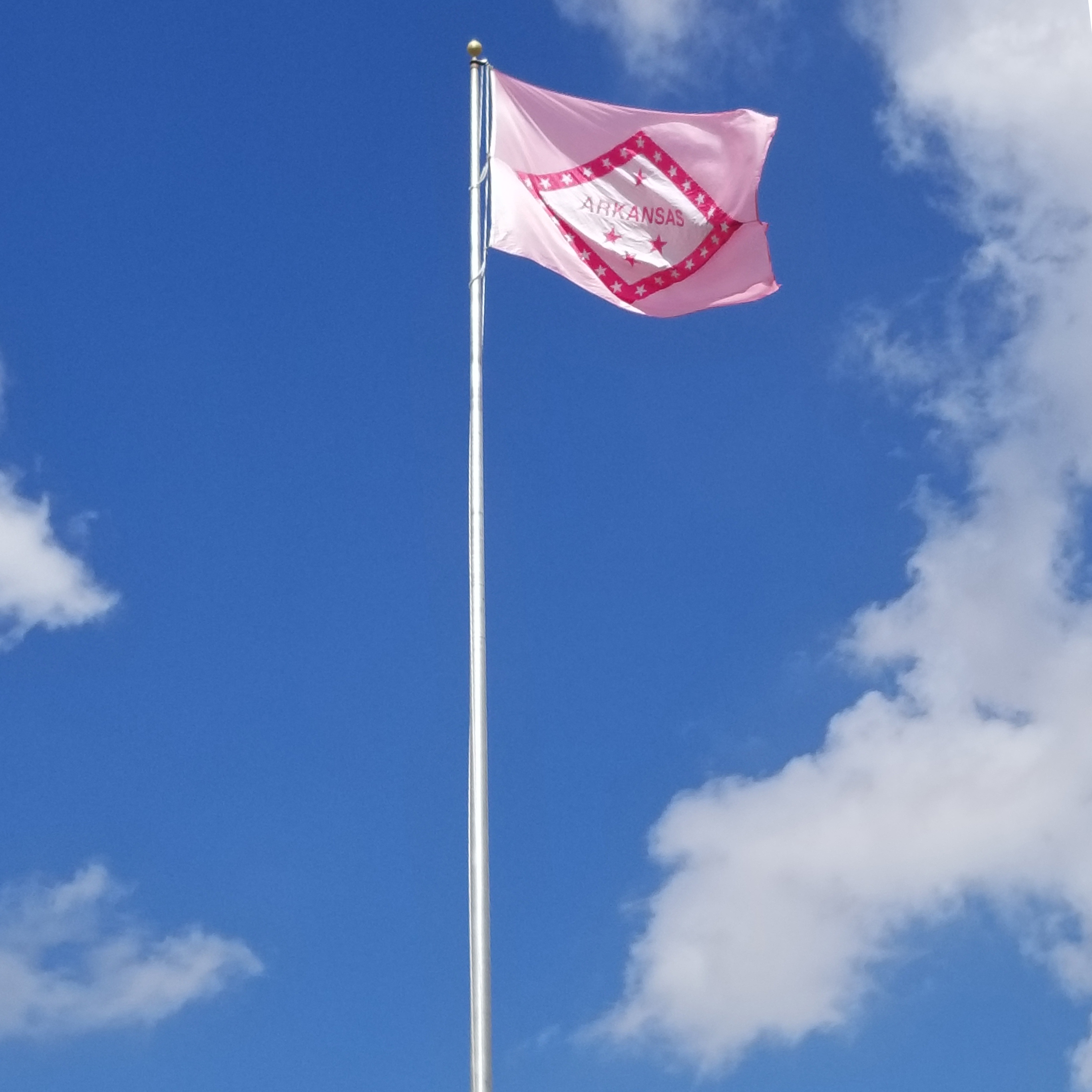 woman-owned-company-raises-pink-flag-for-breast-cancer-cure