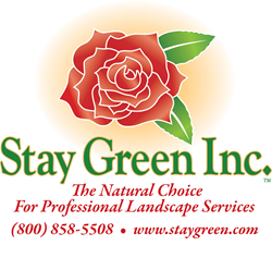 Stay Green Inc.