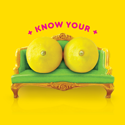 Know Your Lemons® App, developed by Dogtown Media, a leading mobile app development company