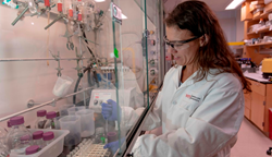 Carissa Olsen studies how changes in the lipids found in our bodies, particularly those that form part of the structure of our cell membranes, affect our longevity and our health as we age.