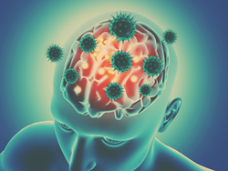 brain, germs, alzheimer's germ quest