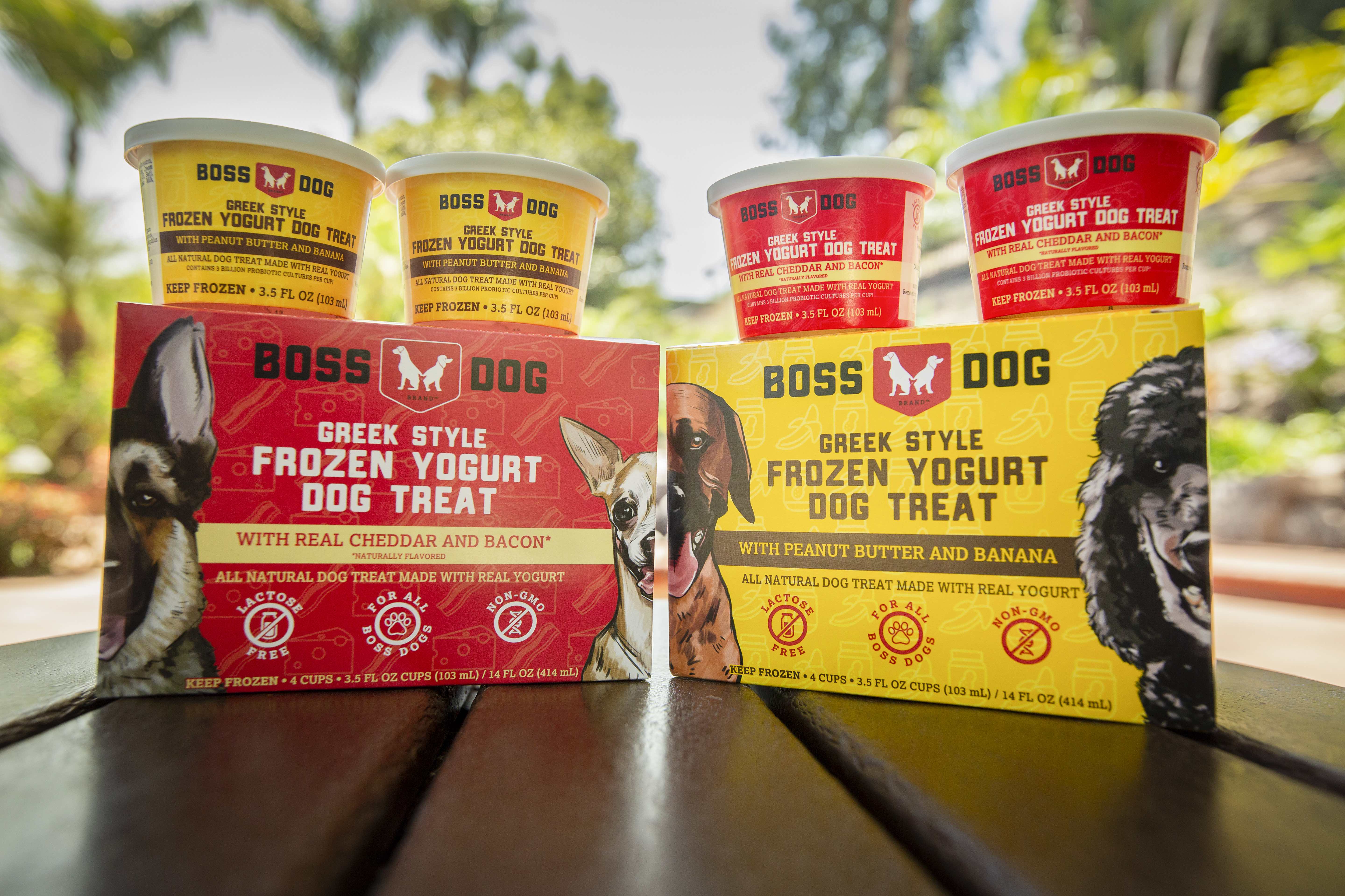 frozen yoghurt for dogs