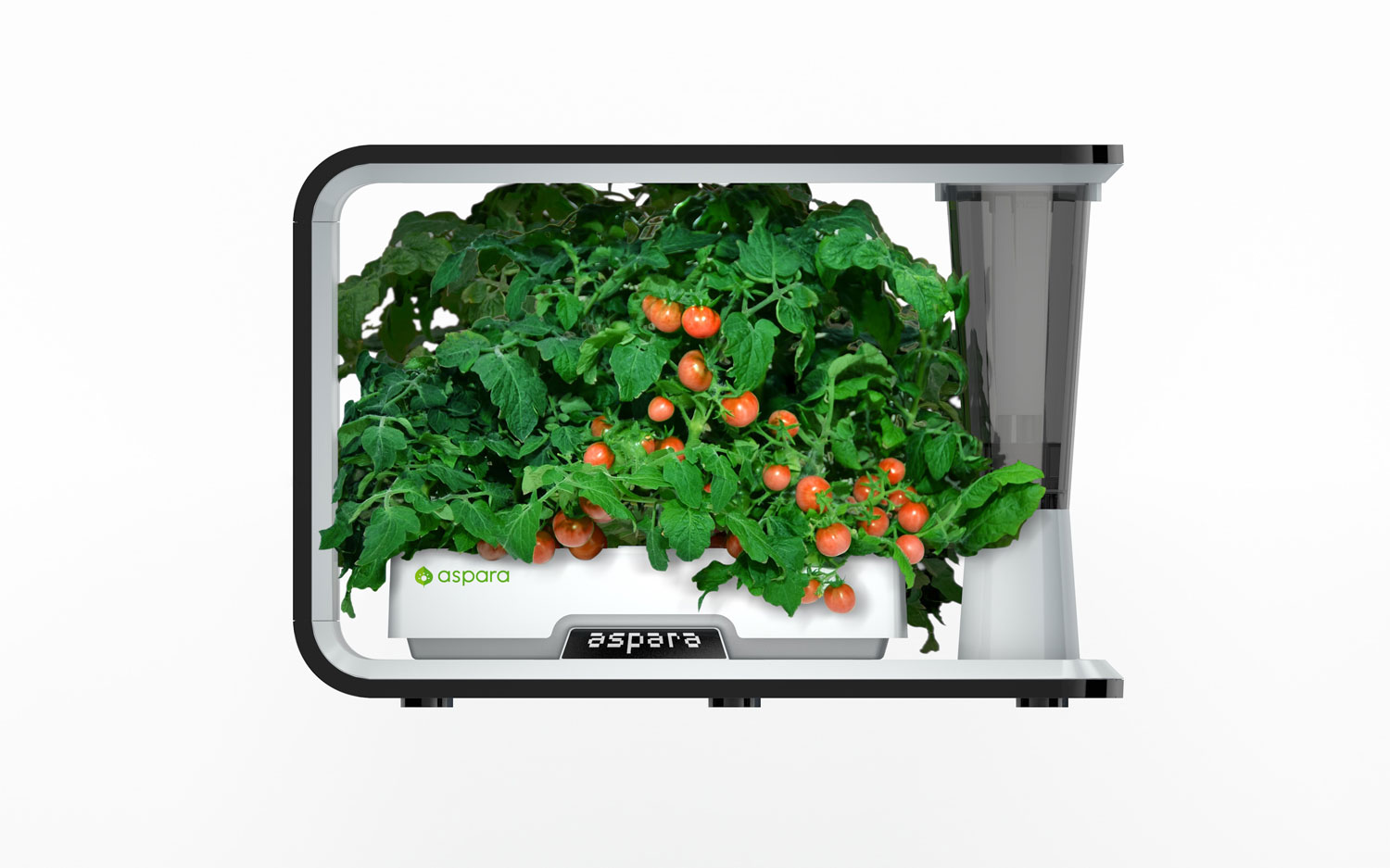 Connected Countertop Hydroponic Smart Grower Aspara Brings