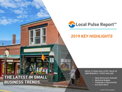 Local Pulse Report