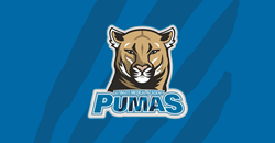 ultimate medical academy puma den