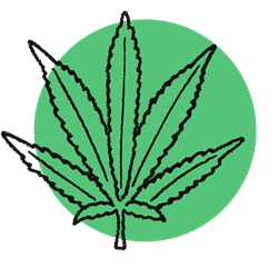Online Guide to CBD Oil