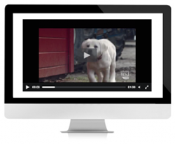 Aha Online Qual Platform Ad and Concept Testing