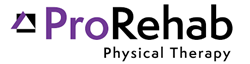 Clinic Director