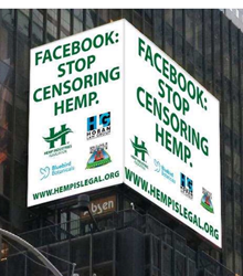 Hoban Law Group Hemp Billboard Times Square