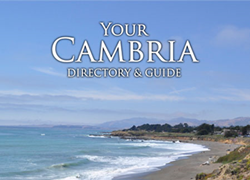 Cambria business guide