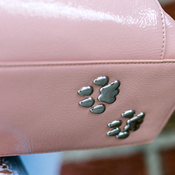 Triple T Studios Cat Paw Protective Feet