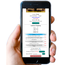 Advertiser Feedback