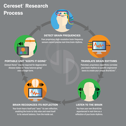 Cereset Research Process