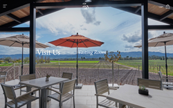 ZD Wines website screenshot