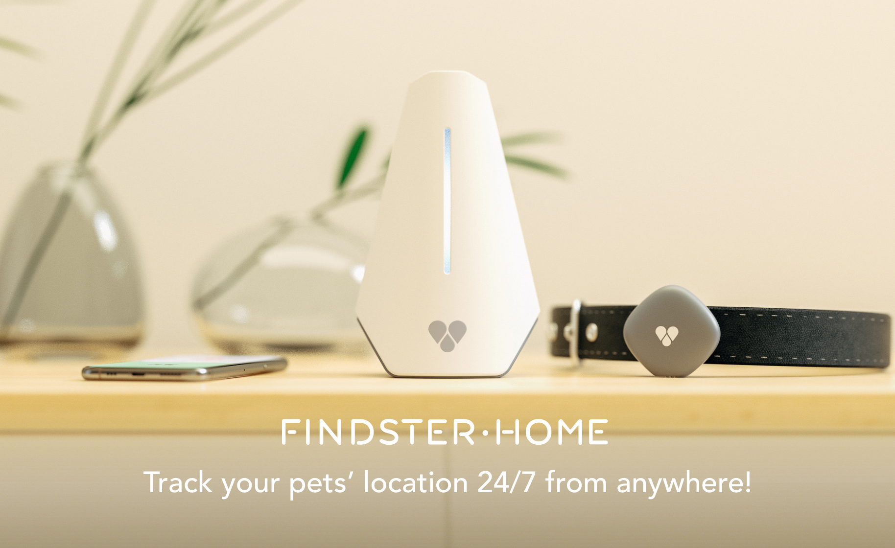 findster duo amazon