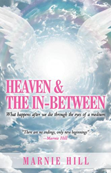 an insight into heaven book download