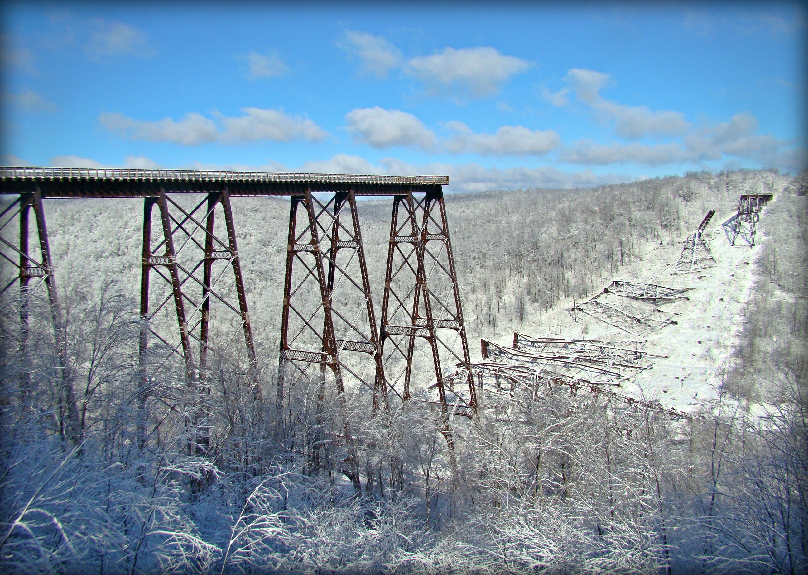 Treasure The Holiday Season In The Allegheny National Forest Region