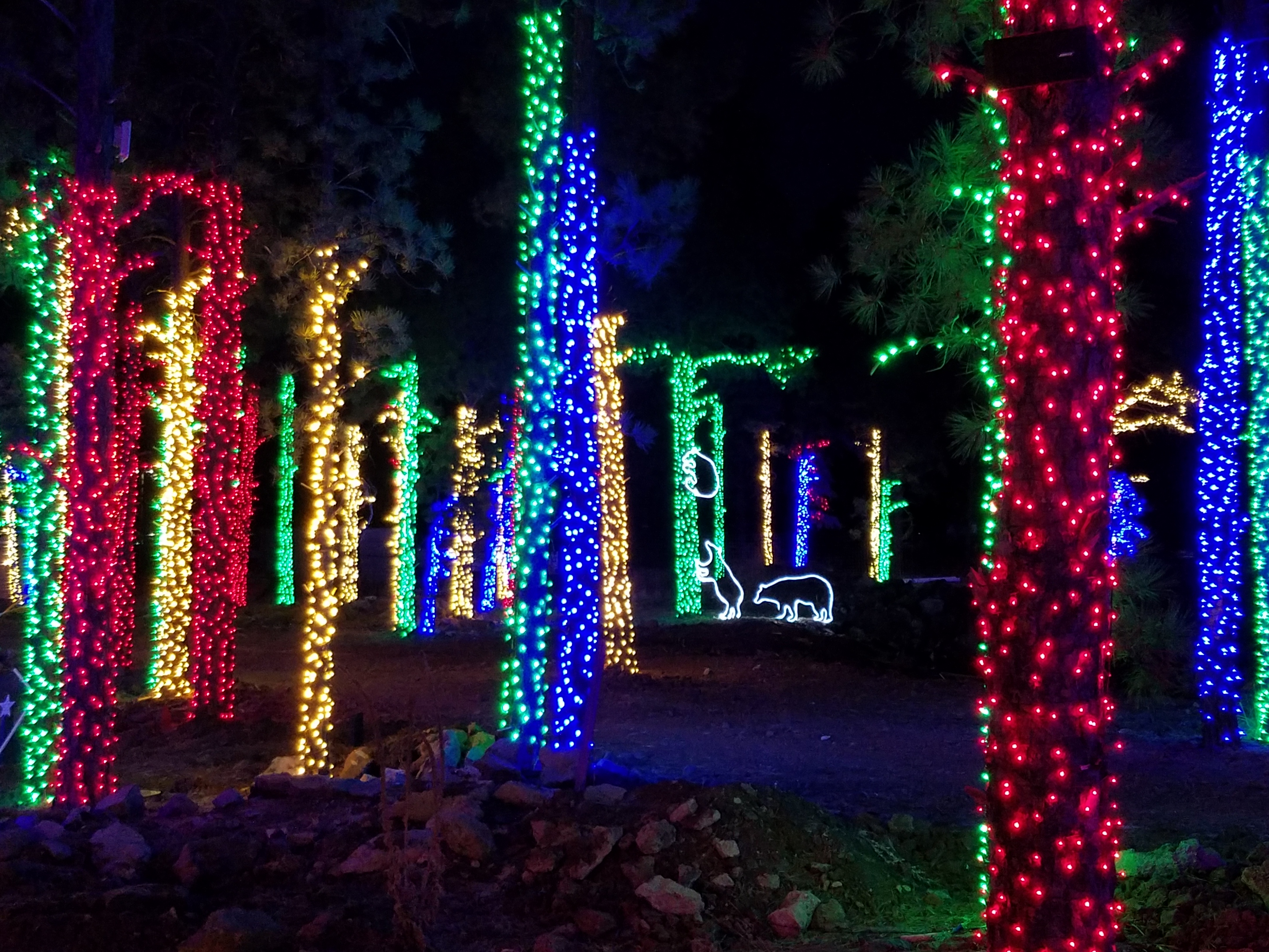 Bearizona Kicks Off Wild Wonderland Holiday Celebration on Dec. 6