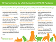 RestoraPet’s 10 Tips for Caring for a Pet During the COVID-19 Pandemic