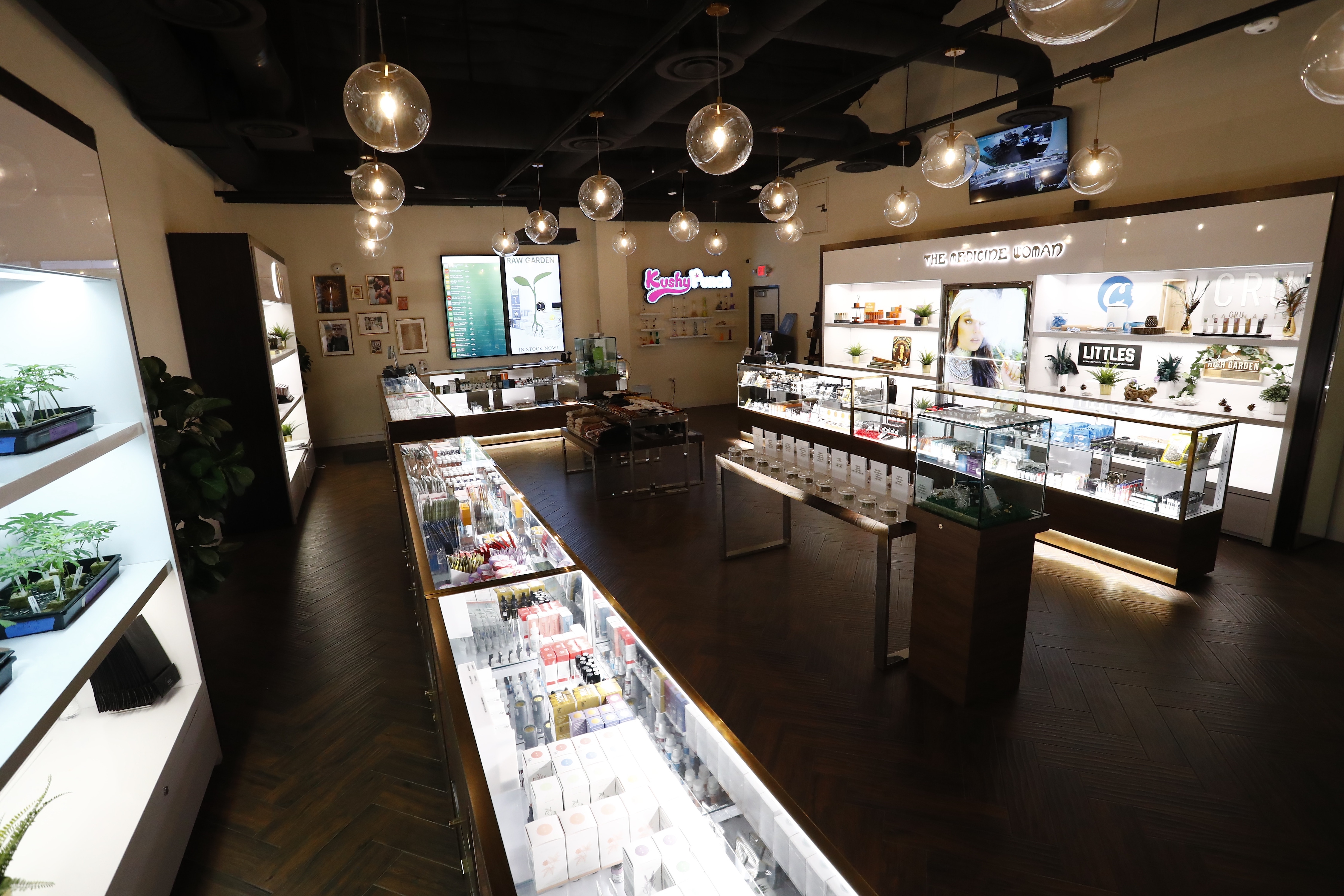 The Medicine Woman Obtains First Cannabis License in the City of