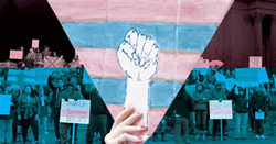 Here TV Celebrates Pride Month 2020