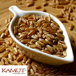 KAMUT&#174; Brand Khorasan Wheat Provides Key Steps to Take for a more Nutritionally-Balanced, Healthier Lifestyle in honor of Healthy Aging Month