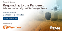 Responding to the Pandemic: Information Security and Technology Trends Webinar