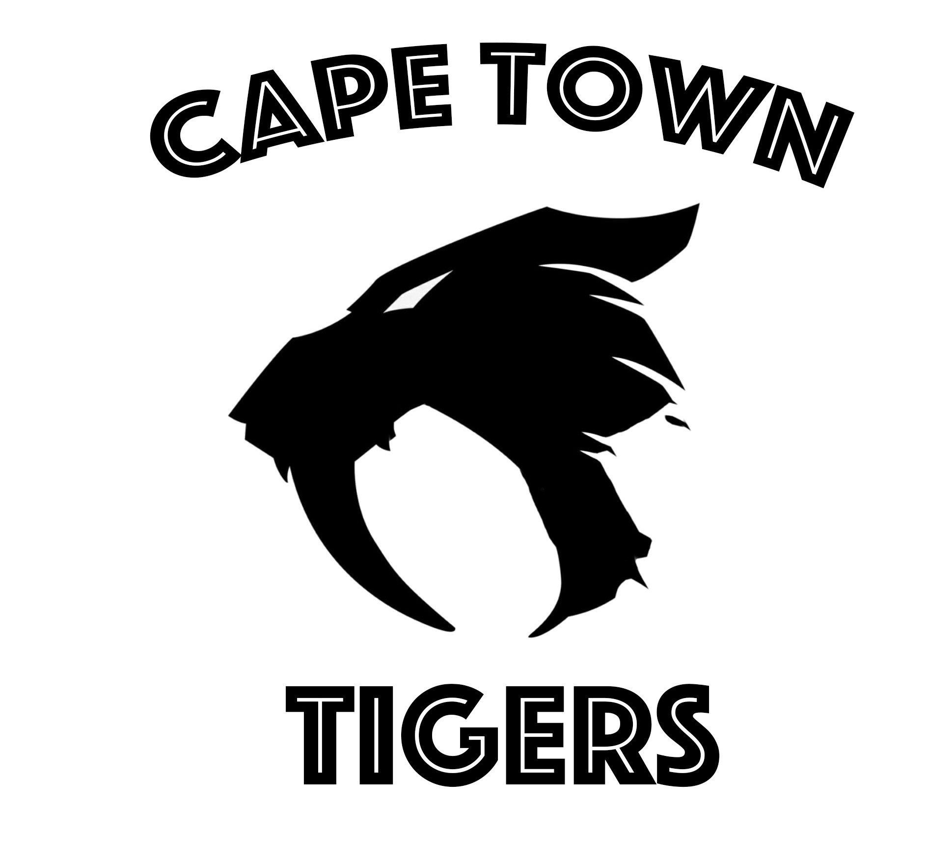 Introducing Cape Town's Professional Basketball Team The Cape Town Tigers