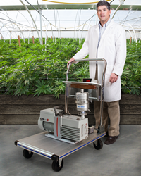 Mounted on a push cart with a built-in drip pan, MV Portable Cannabis Vacuum Systems can be equipped with vacuum pumps from 5.6 to 22 CFM