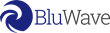BluWave&#39;s 2021 Annual Report Reveals Historic Deal Flow and PE Embracement of Strategy and Human Resources