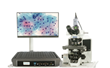 Remote Medical Technologies (RMT) is Unveiling New High-Performance Remote Robotic Microscopy System and Spectacular 4K Imaging Solution at ASC 2021