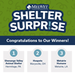Winners Announced for MedVet’s Shelter Surprise: Shenango Valley Animal Shelter Wins Top Award in Contest Thanks to Public Vote