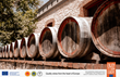 European Wine Law is Instrumental to Success of Barolo, Chianti, and Sicily