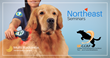 Multi Radiance Medical partners with Northeast Seminars, University of Tennessee College of Veterinary Medicine for 2022 certification programs