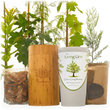 The Living Urn Introduces 15 New Tree Options for its Leading Bio Urn &amp; Planting System