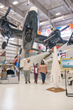 The National Naval Aviation Museum boasts more than 150 beautifully restored aircraft representing Navy, Marine Corps and Coast Guard aviation and features 350,000 sq. ft. of displays.