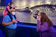 See the Baptanodon in Monsters of the Mesozoic Seas at the world's largest children's museum.