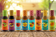 Sokol, in Partnership with Sunkist&#174;, Introduces an Exciting New Line of  Sauces &amp; Dressings