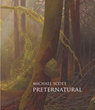A PORTAL INTO AMERICA’S WILD PLACES—Michael Scott’s Landscape Paintings Featured in New Book “Preternatural” &amp; in Exhibition at the Cincinnati Museum Center