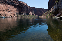 A calm Colorado River in a sandstone canyon.