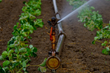 Water-saving Irrigation Solutions are featured on Viewpoint with Dennis Quaid
