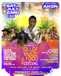 Akon Lighting Africa Present&#39;s Atlanta’s Jollof, Music &amp; Food Festival