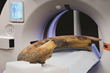 RSNA: Newer CT Scanner Captures Entire Woolly Mammoth Tusk