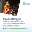 NEW REPORT: Clean Cooking Is a Necessary, Nature-based Solution to Climate Change